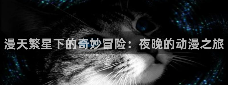 新番动漫排行榜