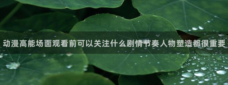 动漫题材分类