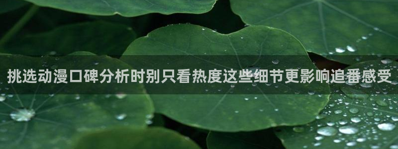 本季新番