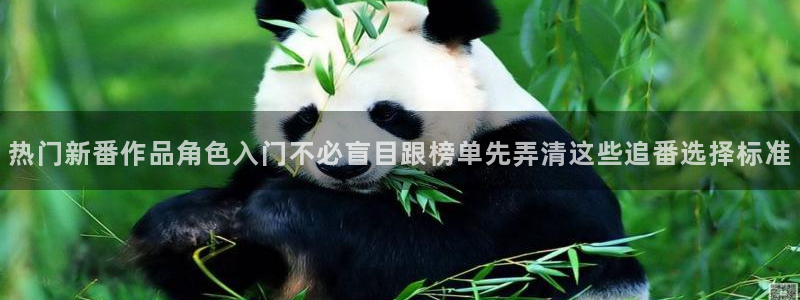动漫今日更新