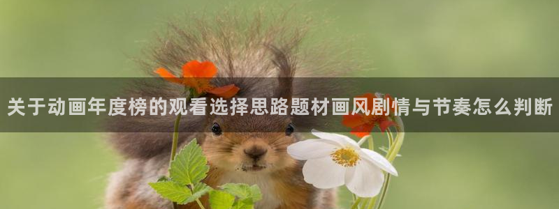 动漫检索