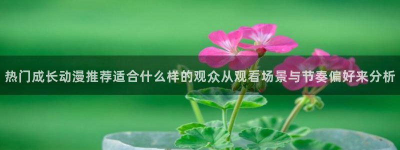 动漫分类大全