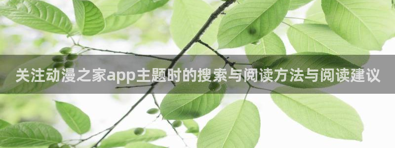 动漫连载