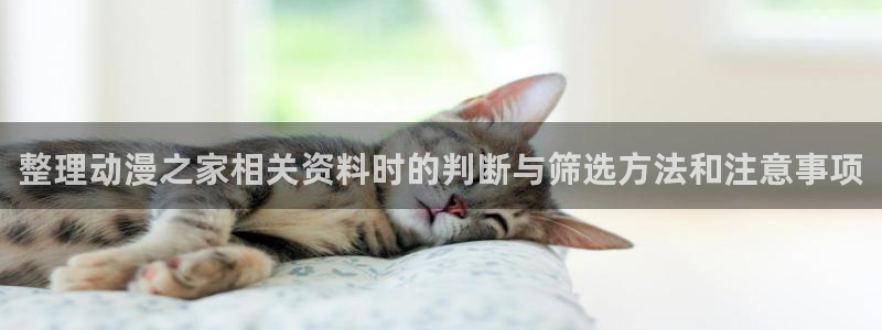 悬疑动漫
