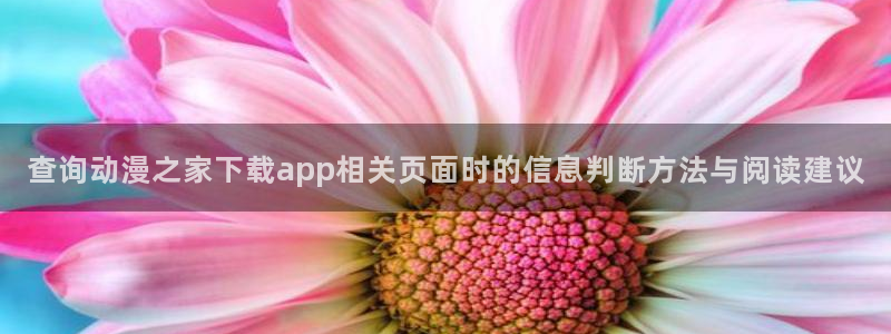 动漫网页