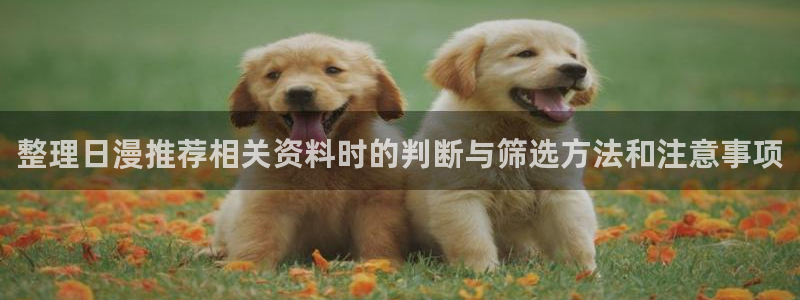 热门动漫榜单
