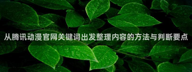 动漫番剧推荐