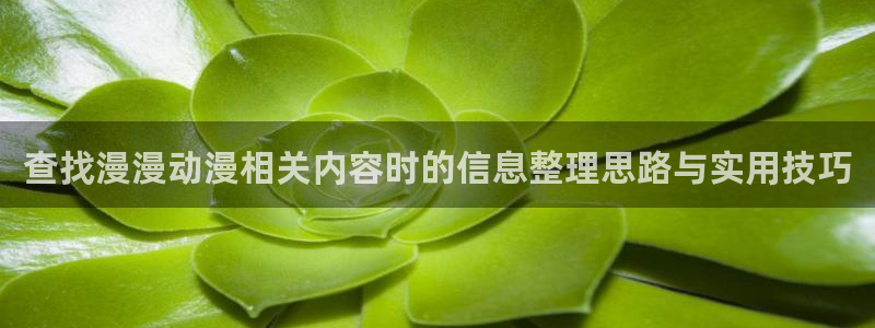 最新新番