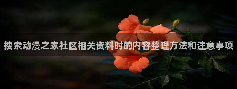 国产动画