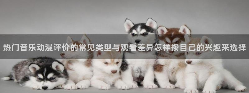 动漫网网站
