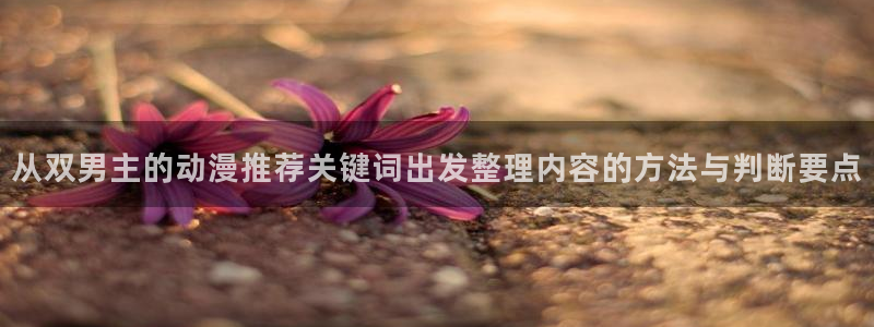 日本动漫网