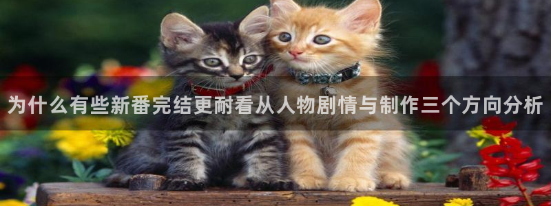 值得看的动漫：为什么有些新番完结更耐看从人物剧情与制作三个方向分析