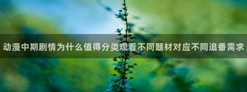 动漫导航网