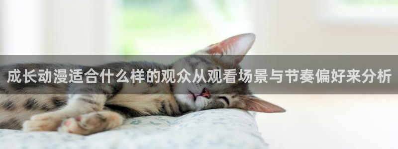 国产动漫大全